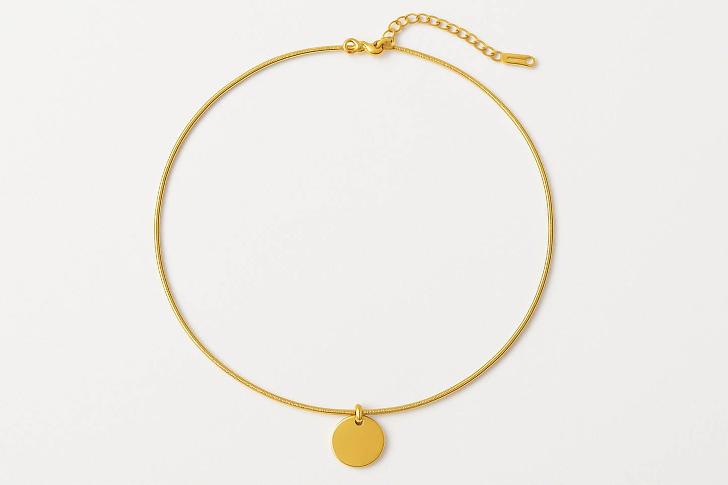 Circular Tag Snake Chain Necklace