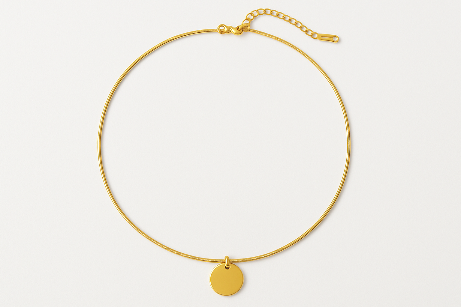 Circular Tag Snake Chain Necklace